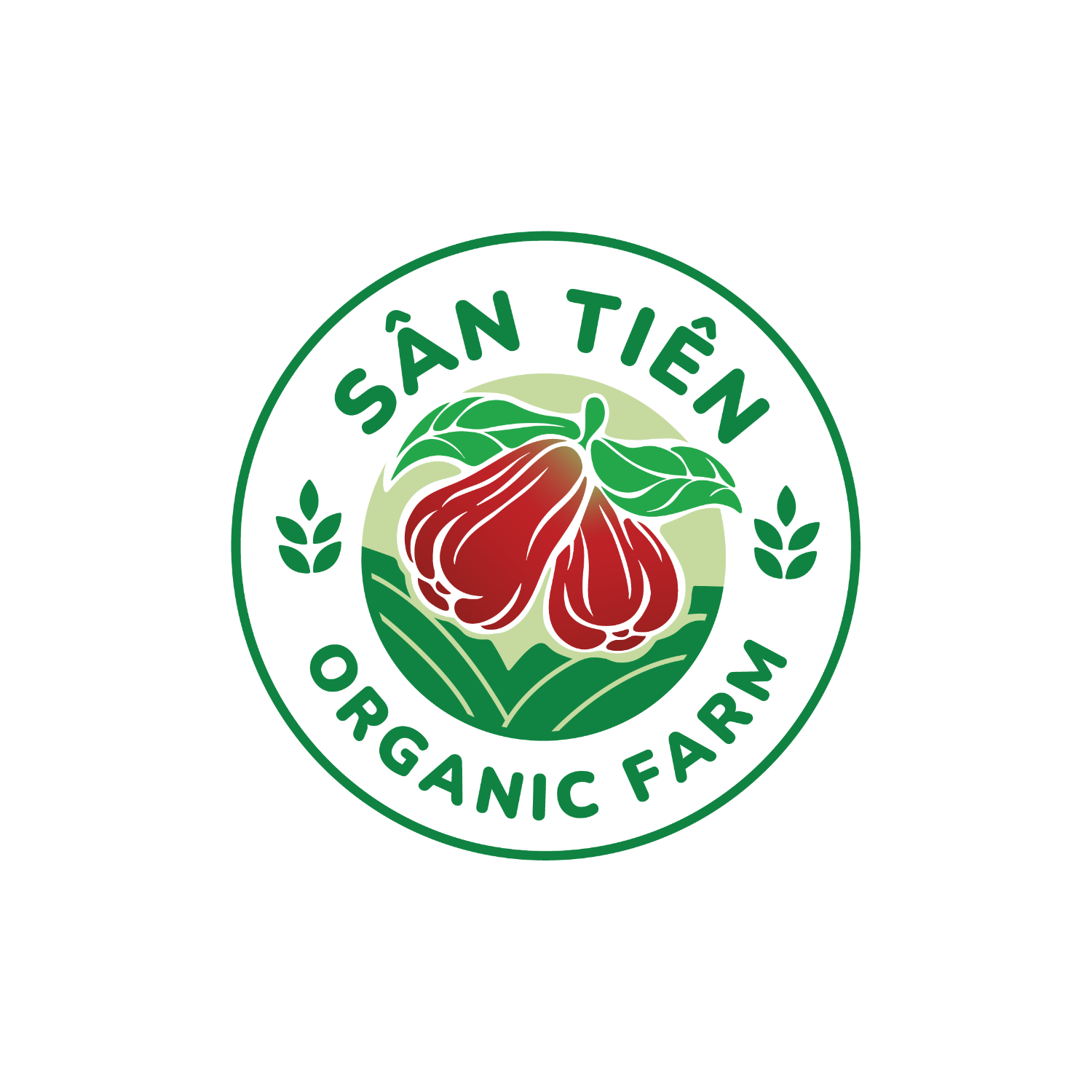 Truy xuất nguồn gốc Mận Sân Tiên